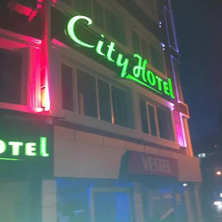 布尔萨城市酒店 酒店 3*