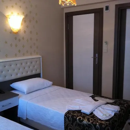 Отель Bursa City Hotel 3*
