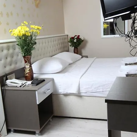 Отель Bursa City Hotel Бурса